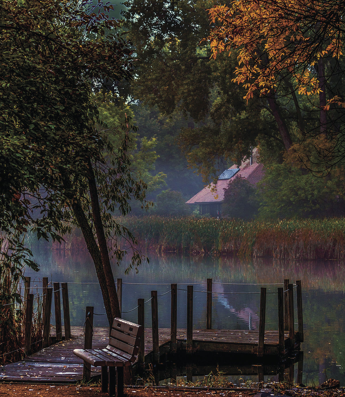 RI08NWphotoContest2.jpg